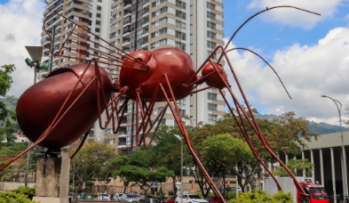 ¿Qué es la medicina prepagada?